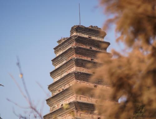 宝塔面板查看文件上传日志，全面指南与实用技巧