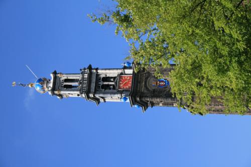 BT面板升级失败图文教程，手把手教你排查与修复