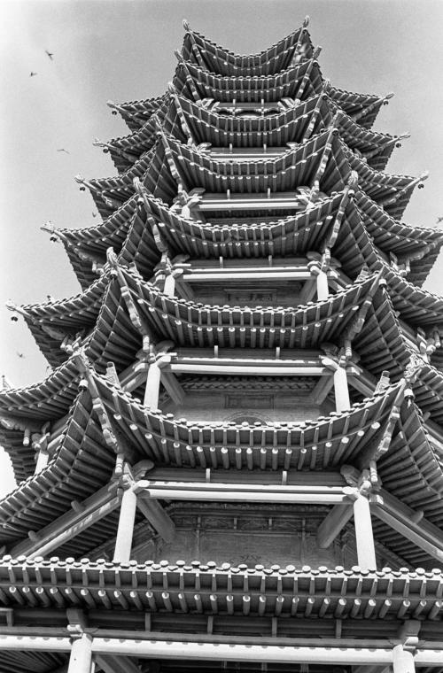 宝塔面板站点伪静态规则大全，一站式解决方案