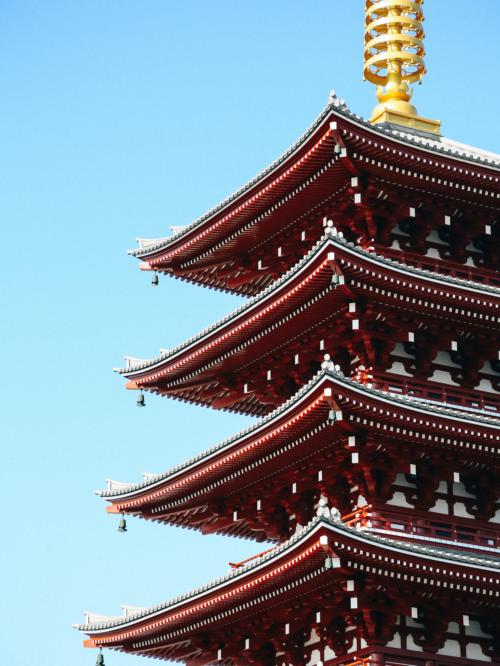 宝塔面板建站提示权限不足，原因分析与全面解决指南