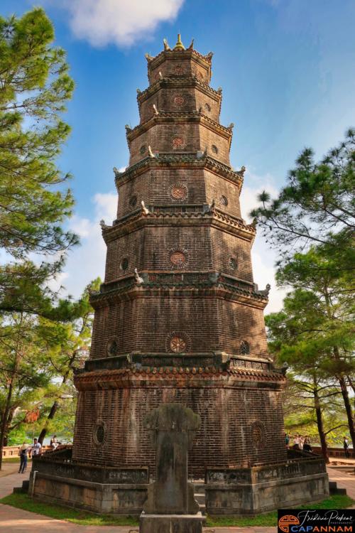 宝塔面板如何查看服务器状态，全面监控与性能分析指南