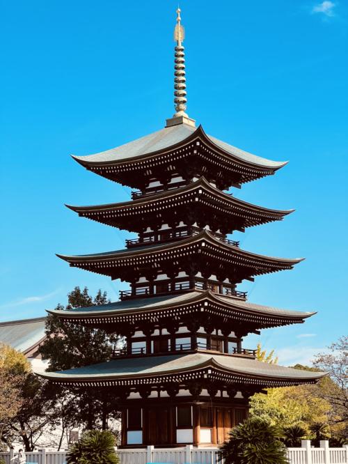 宝塔面板一键部署LNMP教程，三分钟搞定服务器环境搭建